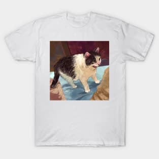 Confused Cat T-Shirt